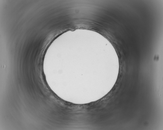 X0000111610241200908141300