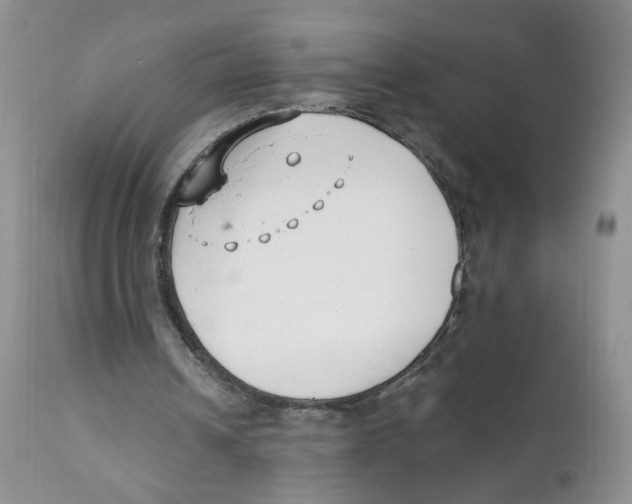 X0000111610242200908141300