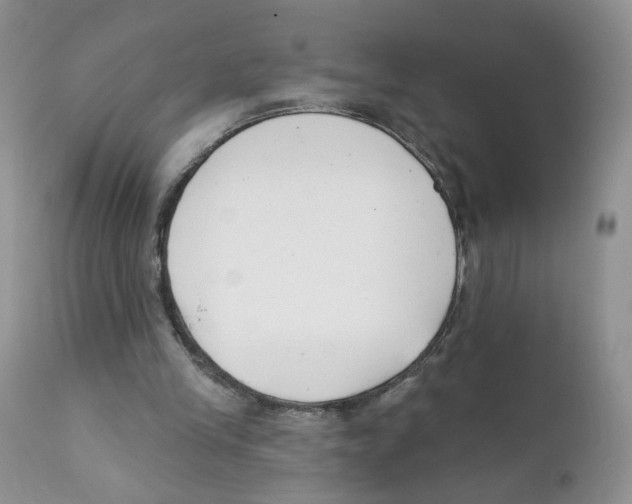 X0000111610245200908141300