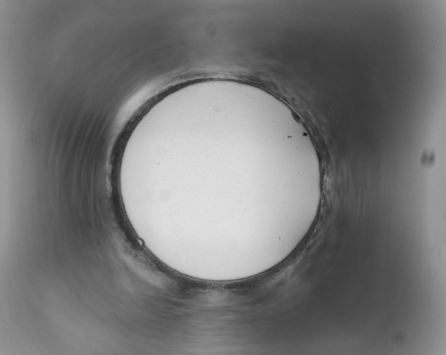 X0000111610246200908141300
