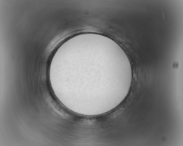 X0000111610247200908141300