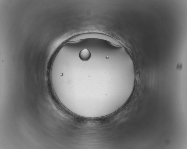 X0000111610248200908141300