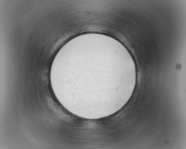 X0000111610249200908141300