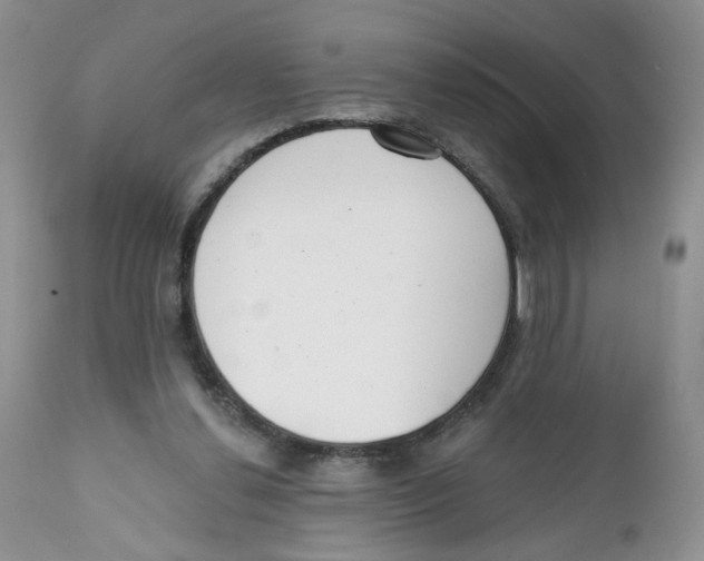 X0000111610252200908141301