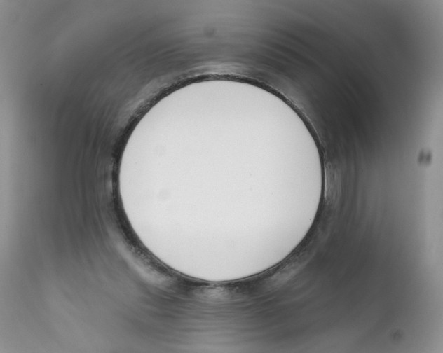 X0000111610253200908141301
