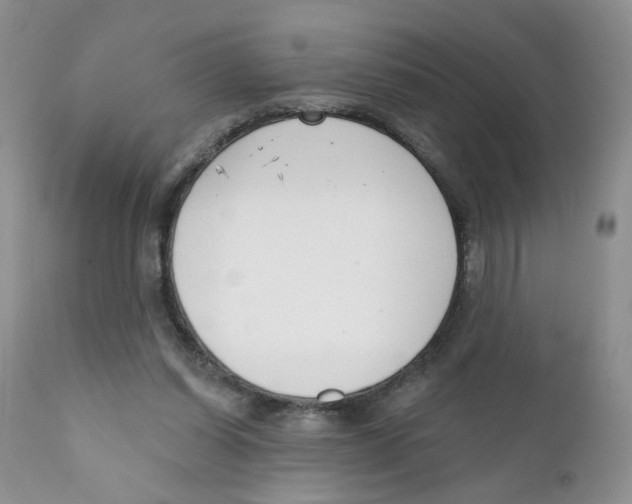X0000111610254200908141301
