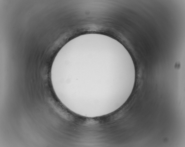X0000111610257200908141301