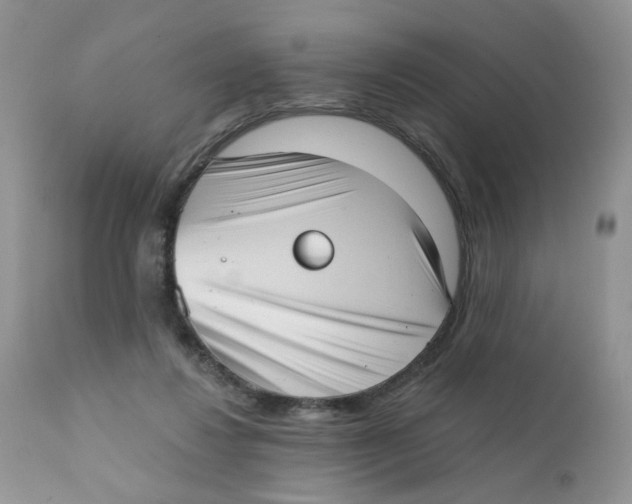 X0000111610260200908141301