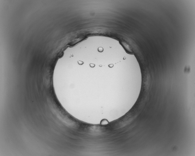 X0000111610261200908141301