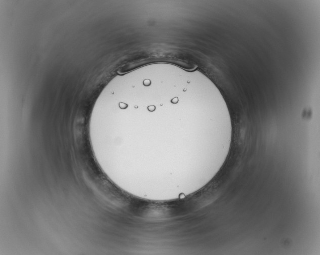 X0000111610263200908141301
