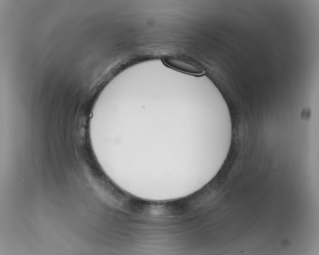 X0000111610264200908141301