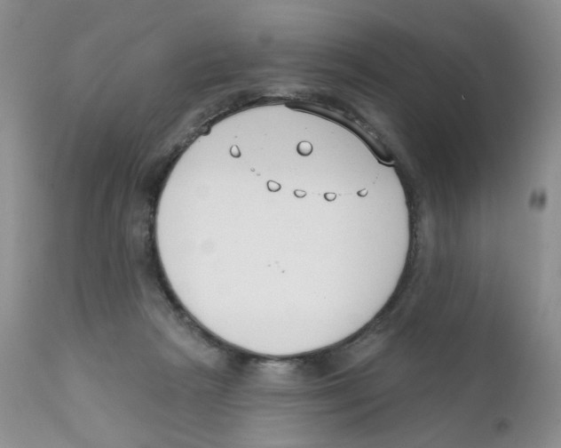 X0000111610265200908141301