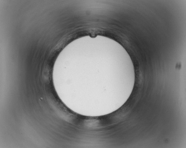 X0000111610266200908141301
