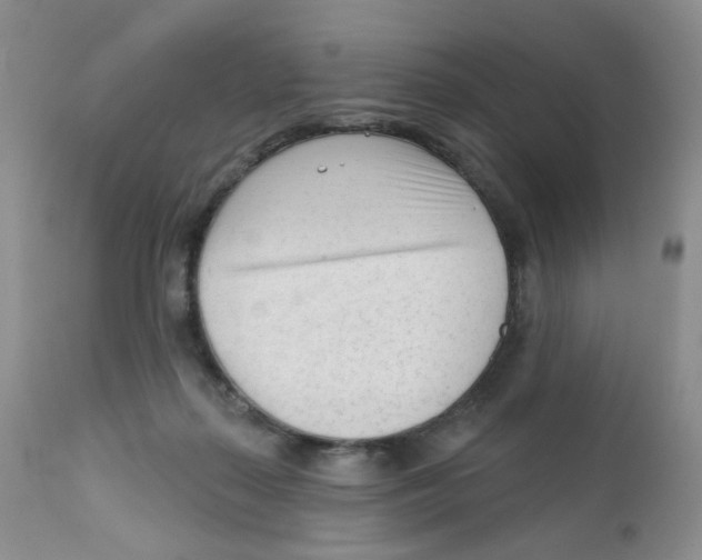 X0000111610267200908141301