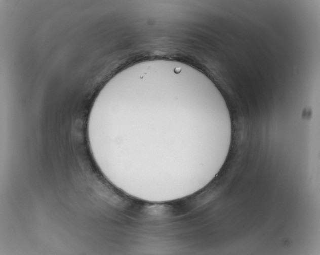 X0000111610269200908141301