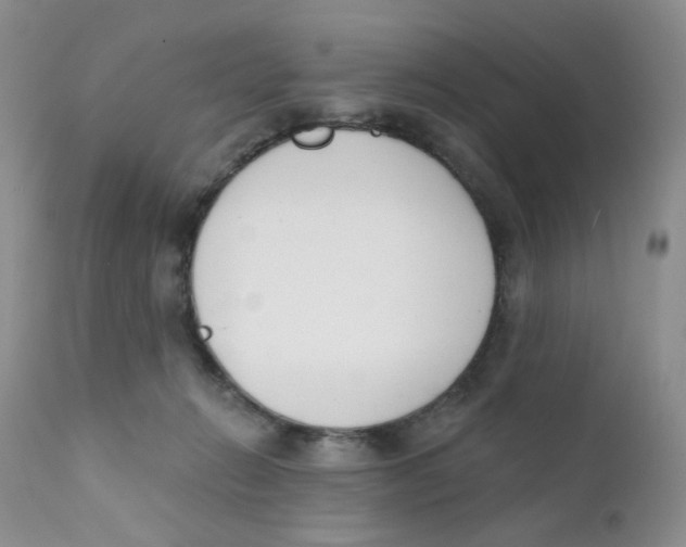 X0000111610270200908141301