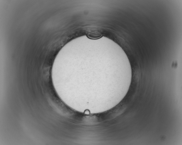 X0000111610271200908141301