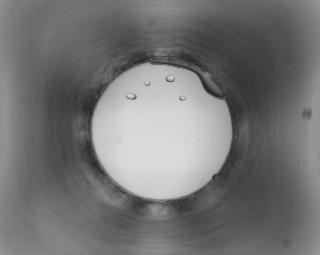 X0000111610272200908141301