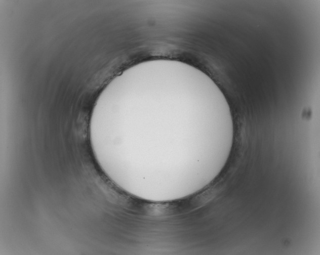 X0000111610273200908141301