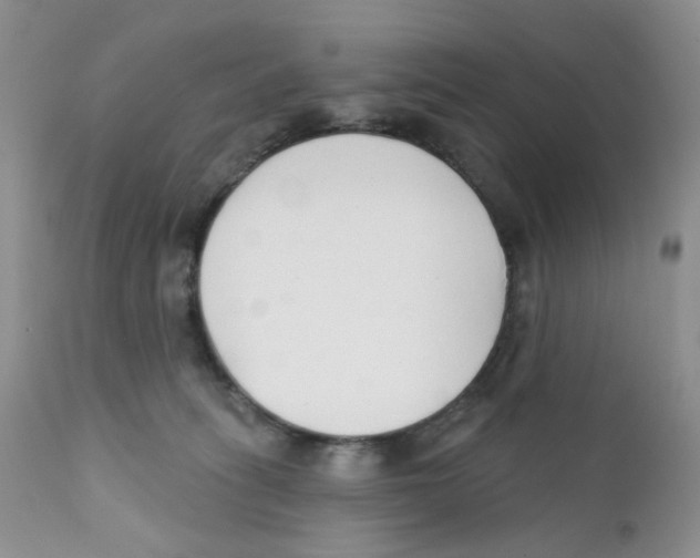 X0000111610275200908141301