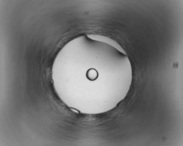 X0000111610276200908141301