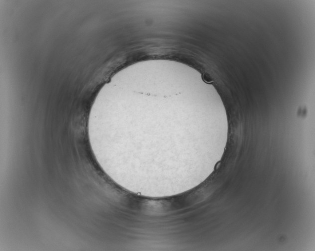 X0000111610277200908141301