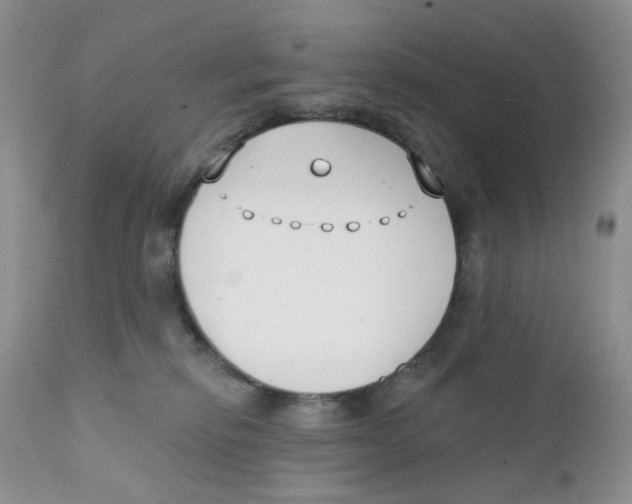 X0000111610278200908141301