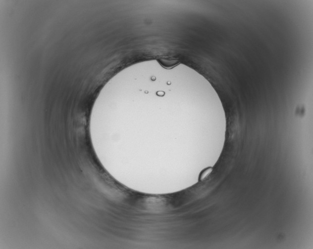 X0000111610279200908141301