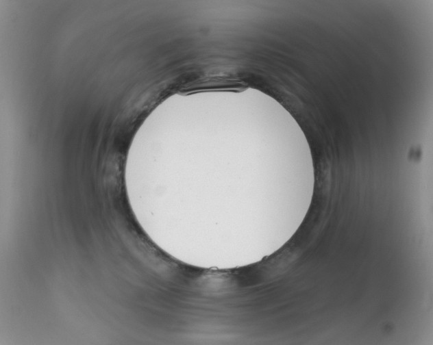X0000111610280200908141301