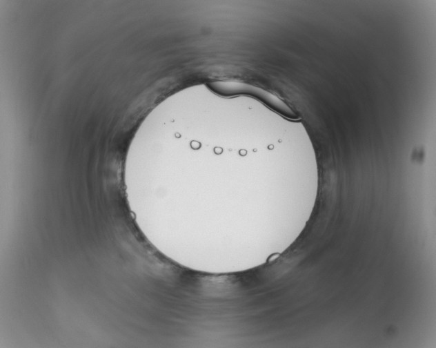X0000111610281200908141301