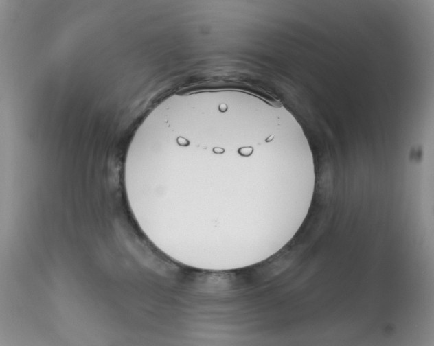 X0000111610282200908141301