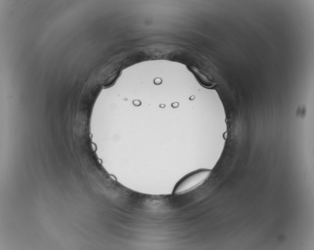 X0000111610283200908141301