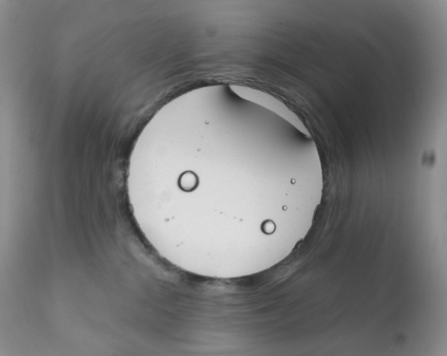 X0000111610284200908141301