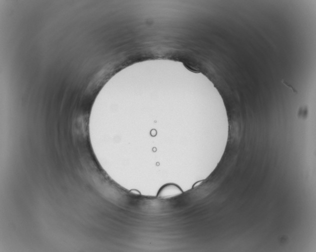 X0000111610286200908141301