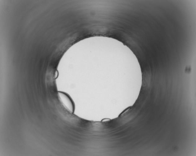 X0000111610287200908141301