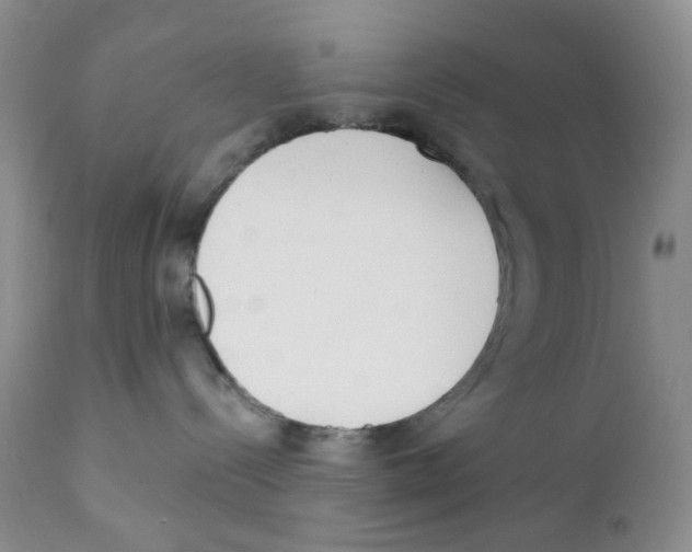 X0000111610288200908141301