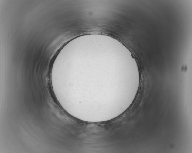 X0000111610290200908141300