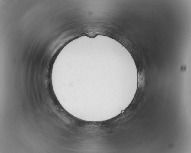 X0000111610291200908141300