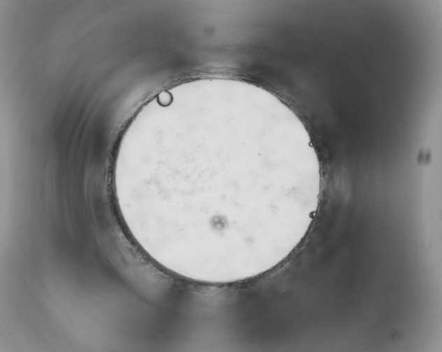 X0000111610293200908141300