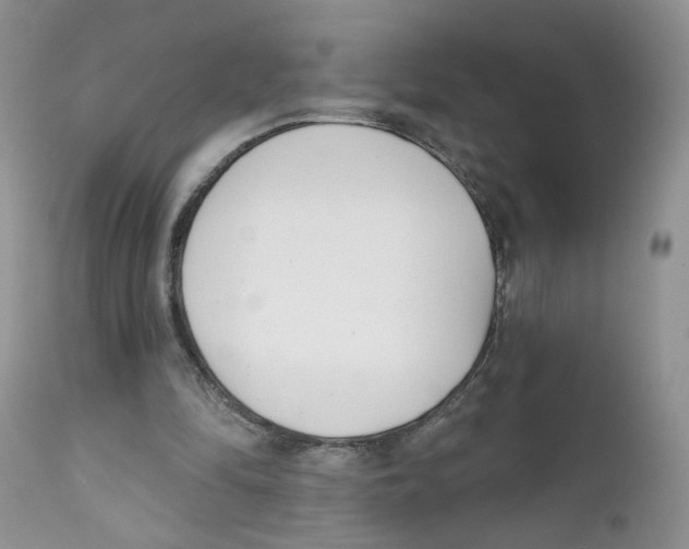 X0000111610294200908141300