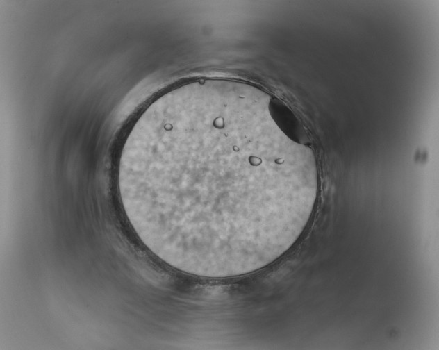 X0000111610295200908141300