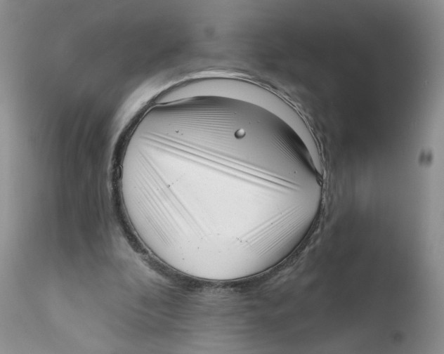 X0000111610296200908141300
