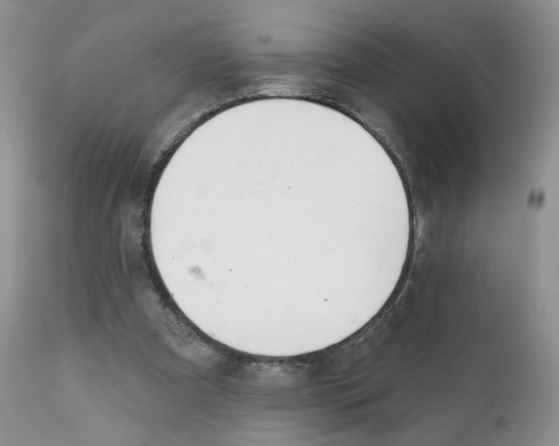 X0000111610297200908141300
