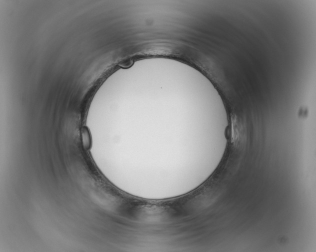X0000111610300200908141300