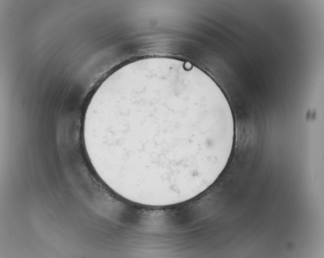 X0000111610301200908141300