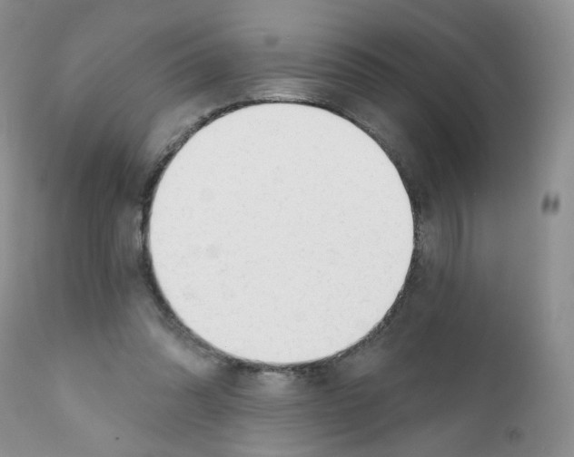 X0000111610302200908141300