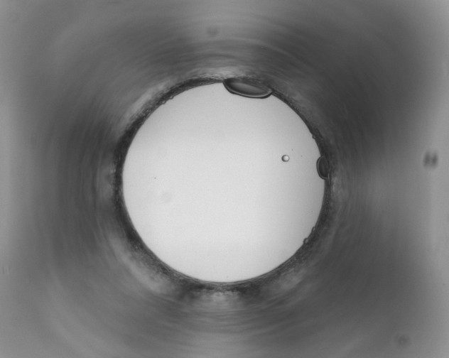 X0000111610304200908141300