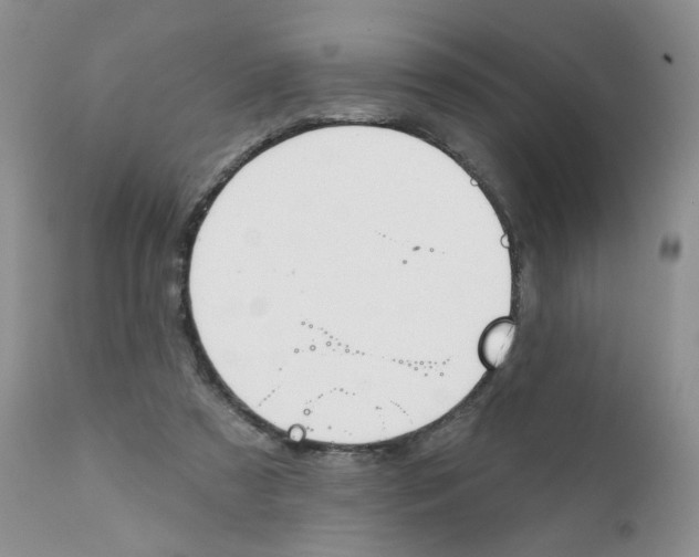 X0000111610305200908141300