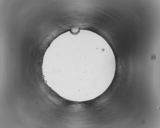 X0000111610307200908141300