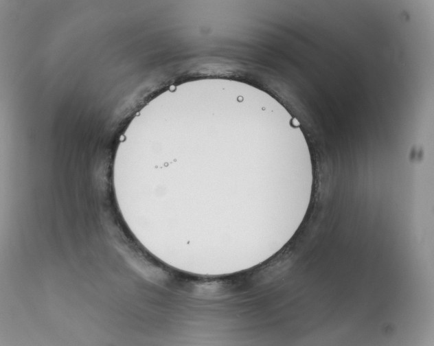 X0000111610309200908141300